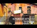 «Городские истории» начало
