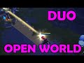 DUO OPEN WORLD 2 - 2vX | ALBION ONLINE