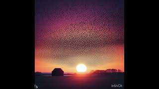 #sortsol #Denmark Every spring & autumn a flock of millions of #starlings blocks out the sun #shorts
