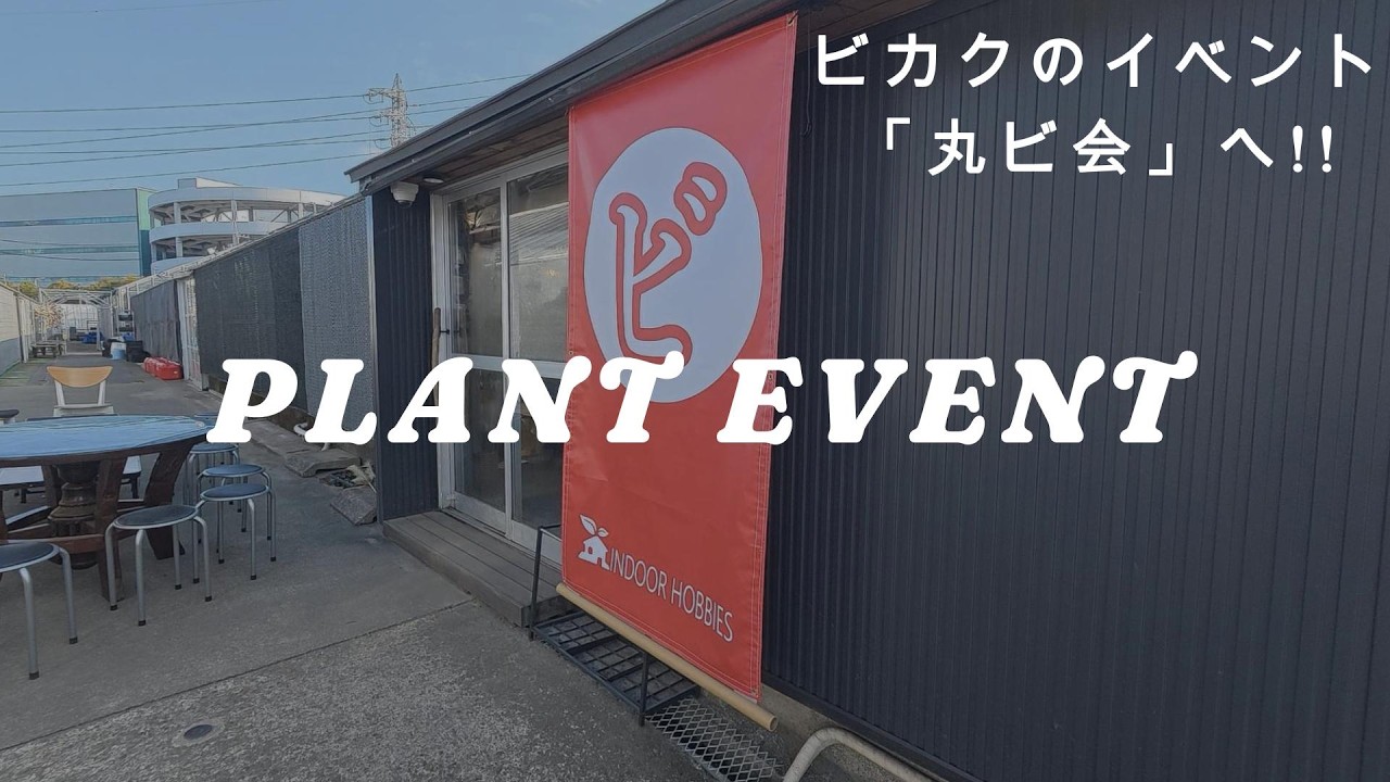 PLANT EVENT ｜丸ビ会行ってきました！｜ビカクシダ｜Platycerium