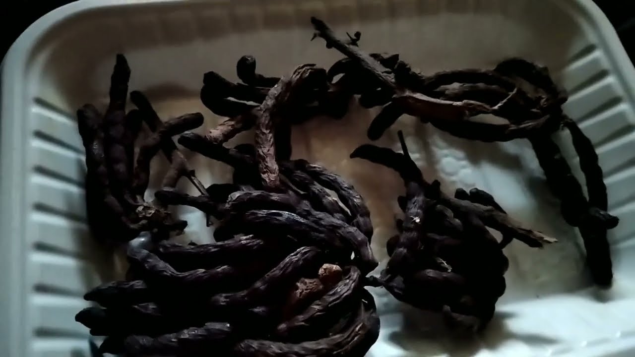 HOW TO USE UDA (NEGRO PEPPER) TO FLATTEN TUMMY AFTER CHILD BIRTH