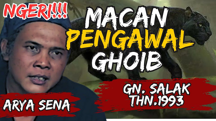 TERJEBAK DI HUTAN GHOIB GUNUNG SALAK l PENDAKIAN ARYA SENA GUNUNG SALAK TAHUN 1993