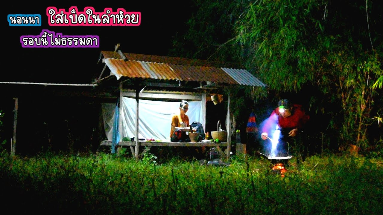 เกินคาด นอนนาใส่เบ็ดในลำห้วย หมายนี้ไม่เคยพลาด/บ้านนาพาสุข EP.533