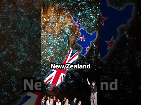 Video: Waitomo Glowworm urvai: išsamus vadovas