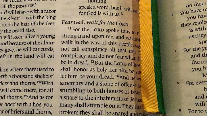 How to Read the Bible: Isaiah 8 Part I