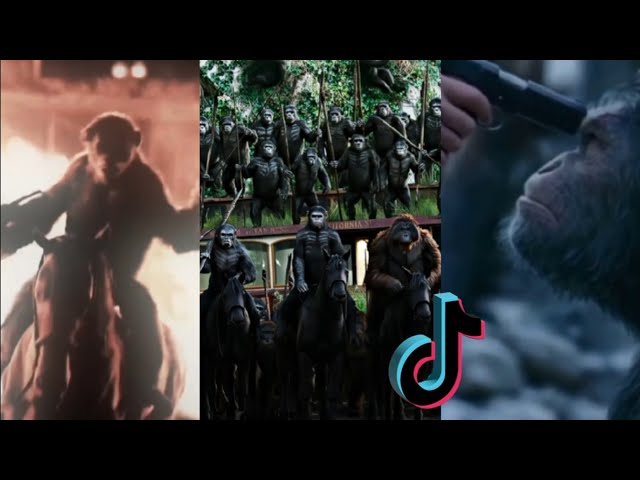 Planet Of The Apes Tiktok compilation *Must Watch* class=