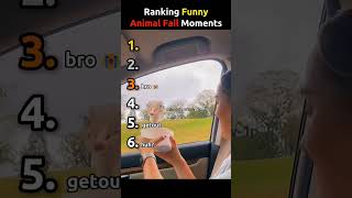 Ranking Funny Animal Fail Moments 🤣 | Try Not To Laugh Challenge!#comedy #funny #shorts