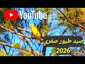 صيد طيور صفري 2026