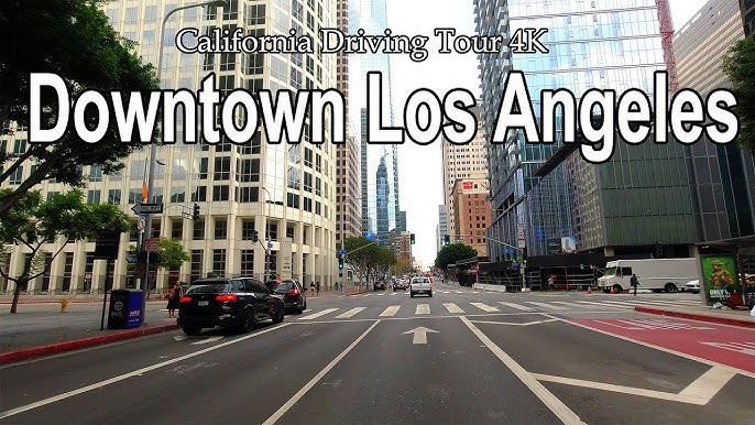 Dashcam  Los Angeles CA