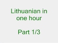 Lithuanian in 1 hour. Part 1/3. Anglų lietuvių kalbos pamokos kursas.