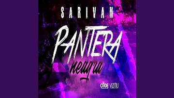 Pantera Neagra