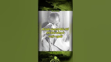 AI LUÔN ỦNG HỘ BÁC HỒ KHI BÁC SỐNG Ở NƯỚC NGOÀI… #bảocóc #bảocócvlog #baococvlogboss #bacho #shorts