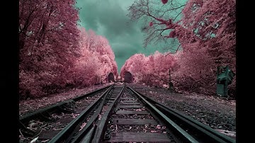 سورة الفاتحة سورة هود الآية 36 44