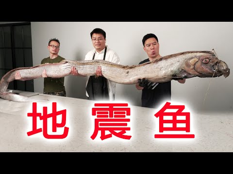 5米长的超大皇带鱼，太震撼了，切开肚子我震惊了【小文哥吃吃吃】