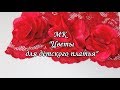 Цветы из ткани для  детского платья (выкройка)