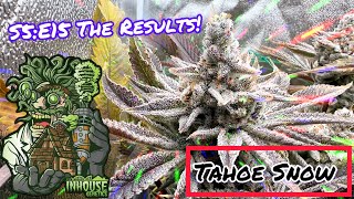 Seed to Harvest - In House Genetics #2