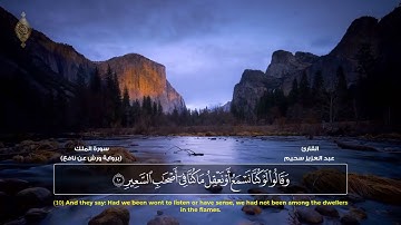 صوته يبكي الحجر ؟موهبة صوتية جزائرية    سورة الملك كاملة ورش القارئ عبد العزيز سح