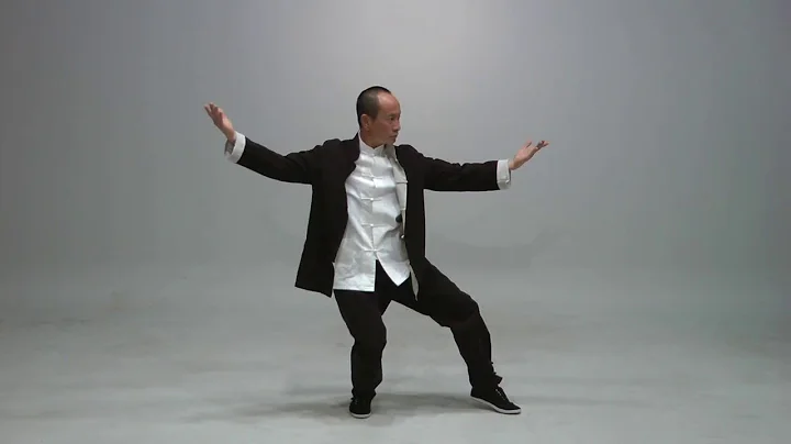 Master Liang Keming () demonstrates Fu Style Tai C...