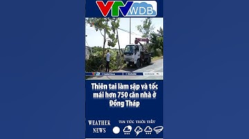Thiên tai làm sập và tốc mái hơn 750 căn nhà ở Đồng Tháp | VTVWDB