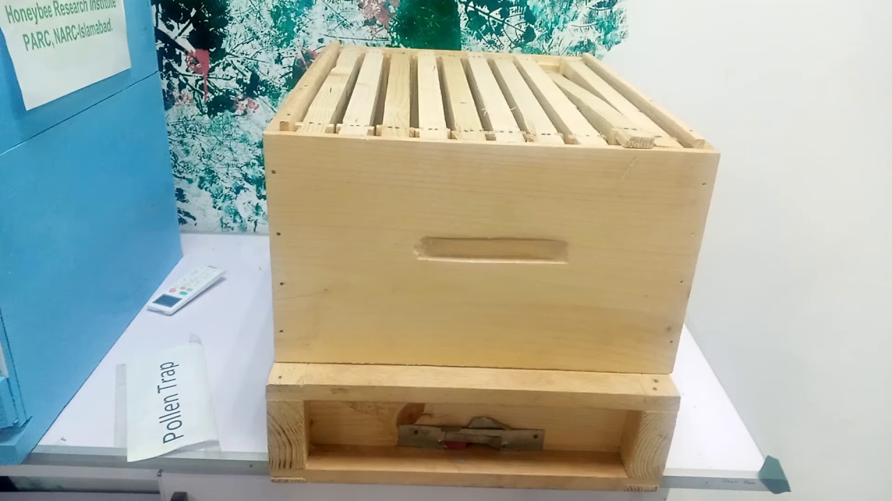 Honey Bee Research Institute