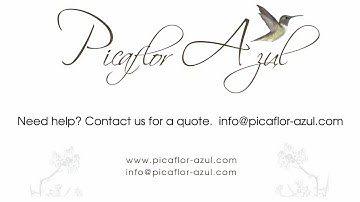 Easy Help Zen Cart Tutorial:  How to Turn On the Header Search Box