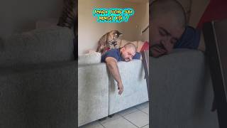 Download Lagu Panggil Tukang Pijat ❌ | Panggil Kucing Pijat ✅🤣 MP3 Download Lagu Panggil Tukang Pijat ❌ | Panggil Kucing Pijat ✅🤣 MP3
