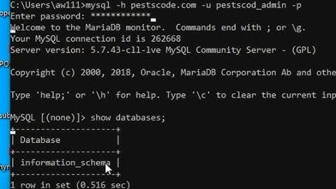 Remote database connection MySQL