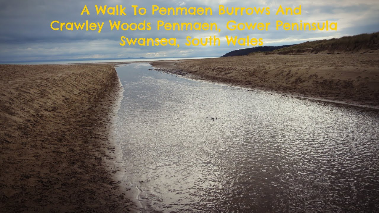 A Walk To Penmaen Burrows and Crawley Woods, Penmaen, Gower Peninsula