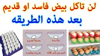 افضل طريقه على الاطلاق لمعرفة عمر البيضه