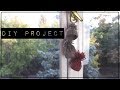 Őszi (Pinterest) DIY project | HeyJulie