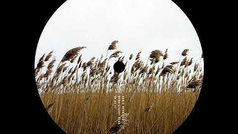 A2. AWOL - 54.973379, -1.614705 [JR 007.2]