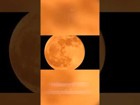 Video: Ay'daki İlk İnsanlar Kimler?