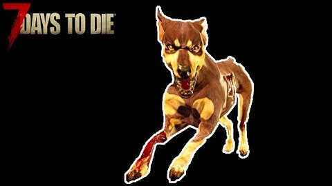 Doggos!  7 DAYS to DIE Day 11 Part 1 Alpha 19
