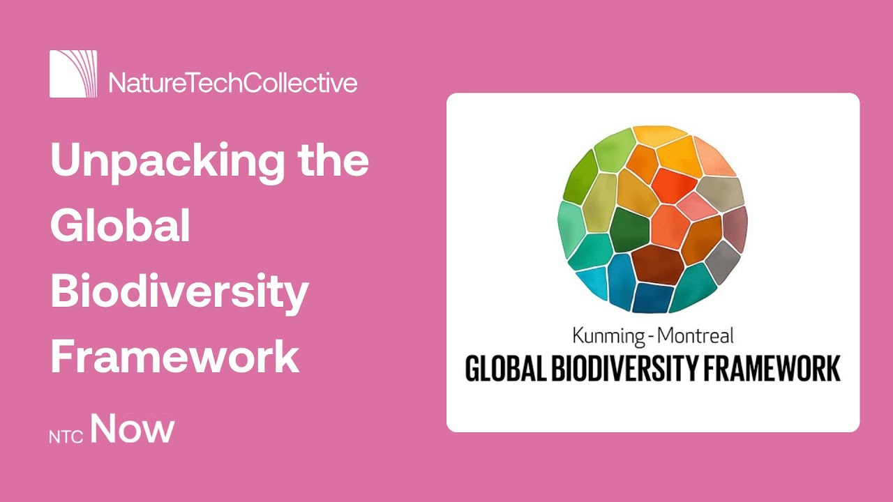 Global Biodiversity Framework Fund Upsc