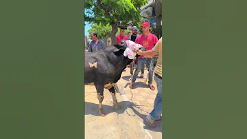 عيد سعيد 