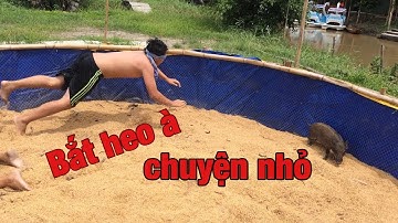Bịt mắt bắt heo và cái kết bất ngờ - Du Lịch miền tây
