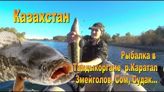 картинка: Рыбалка в Талдыкоргане. Родная старица, наконец выбрались на настоящую рыбалку 28-29.09.24