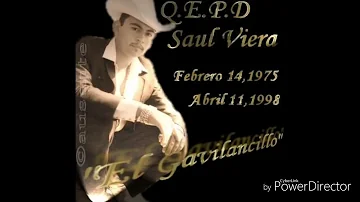 Saul Viera El Gavilancillo Puras Romanticas Mix