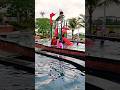 Berenang Renang