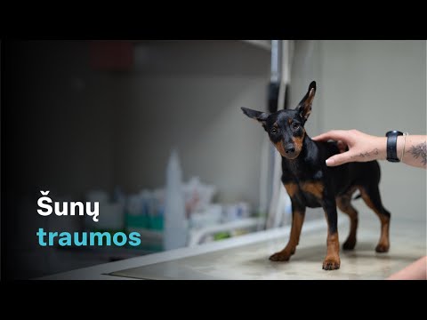 Video: Šunų Dienos Vasarą Dienos Veterinaras