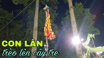 Múa lân Múa rồng trong hội hoa - công viên Tao Đàn.