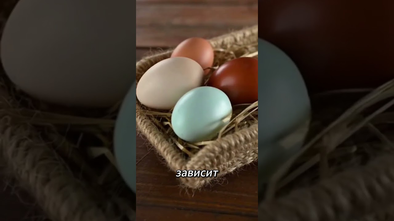 3 факта о яйцах, о которых ты не знал