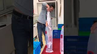 Real Life Of A Fish Worker  31 Years Of Struggle U0026 Sacrifice shorts