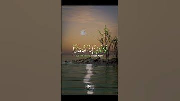 📖سورة التوبة 🎙️ماهر المعيقلي