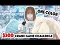 ONE COLOR $300 Crane Game Challenge!!