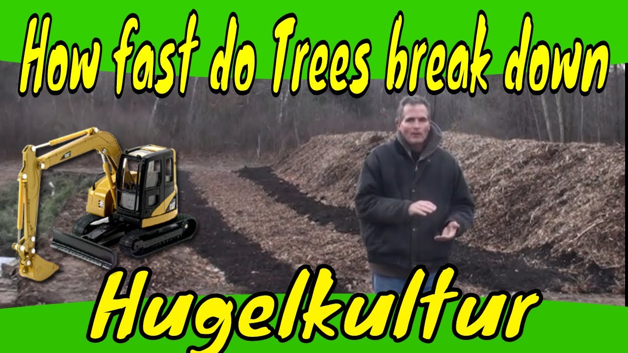Hugelkultur wood breakdown rate