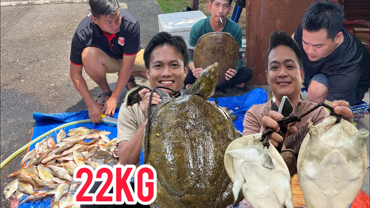 Banyak Sungguh Labi-Labi Keluar Masa Bulan Penuh.Ikan Pun Banyak Sampai Pening Nak Menembak