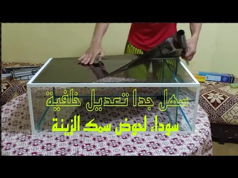 فيديو: اجمل تسريحات الشعر للدمى