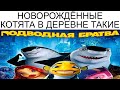 Мемы | Дневная подборка мемов 671