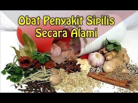 obat-penyakit-sipilis-secara-alami